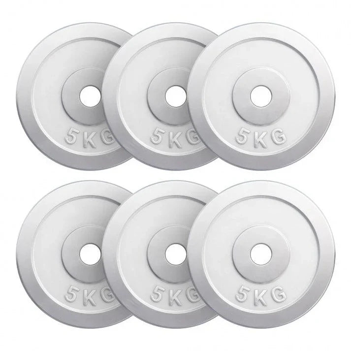 Viktskivor CHROME 6x5kg