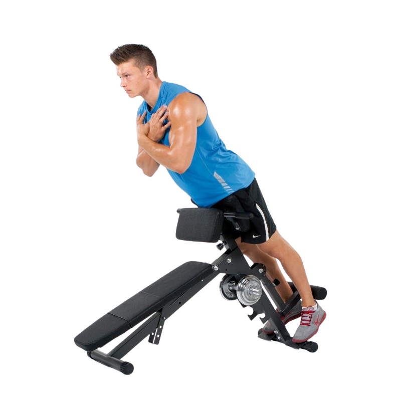Træningsbænk FINNLO by Hammer Ab&Back Trainer