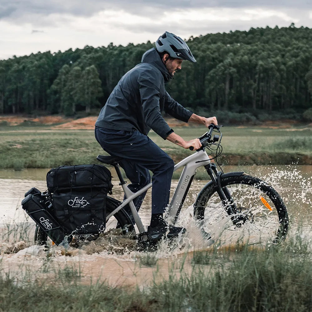 Electric bike FIIDO Nomads
