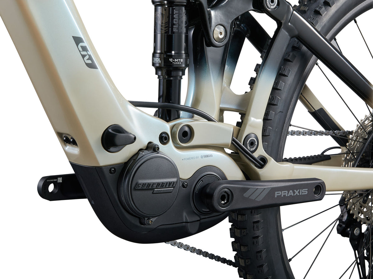 Elcykel LIV Intrigue X Advanced E+ Elite 3, Shoreline