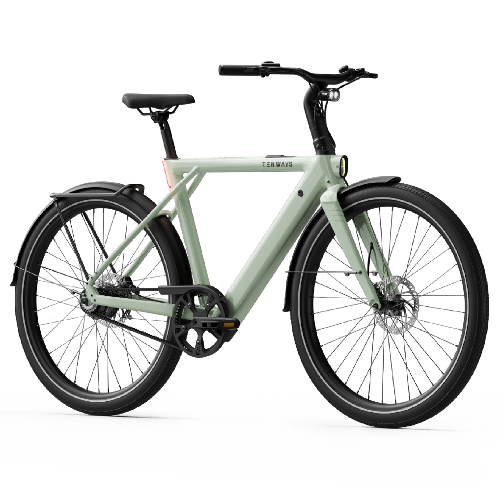 Elcykel TENWAYS CGO009, Sage Green