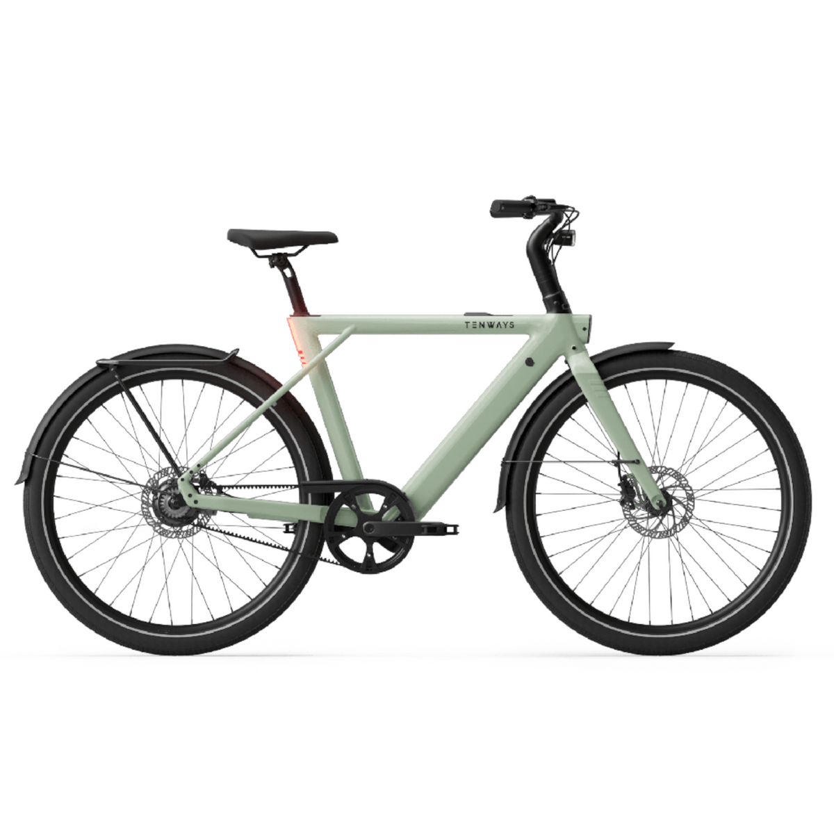 Elcykel TENWAYS CGO009, Sage Green