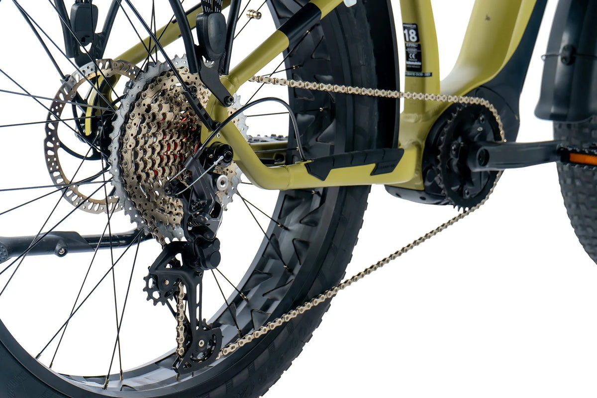 El-fatbike LEADER FOX Brasa 26": Grøn