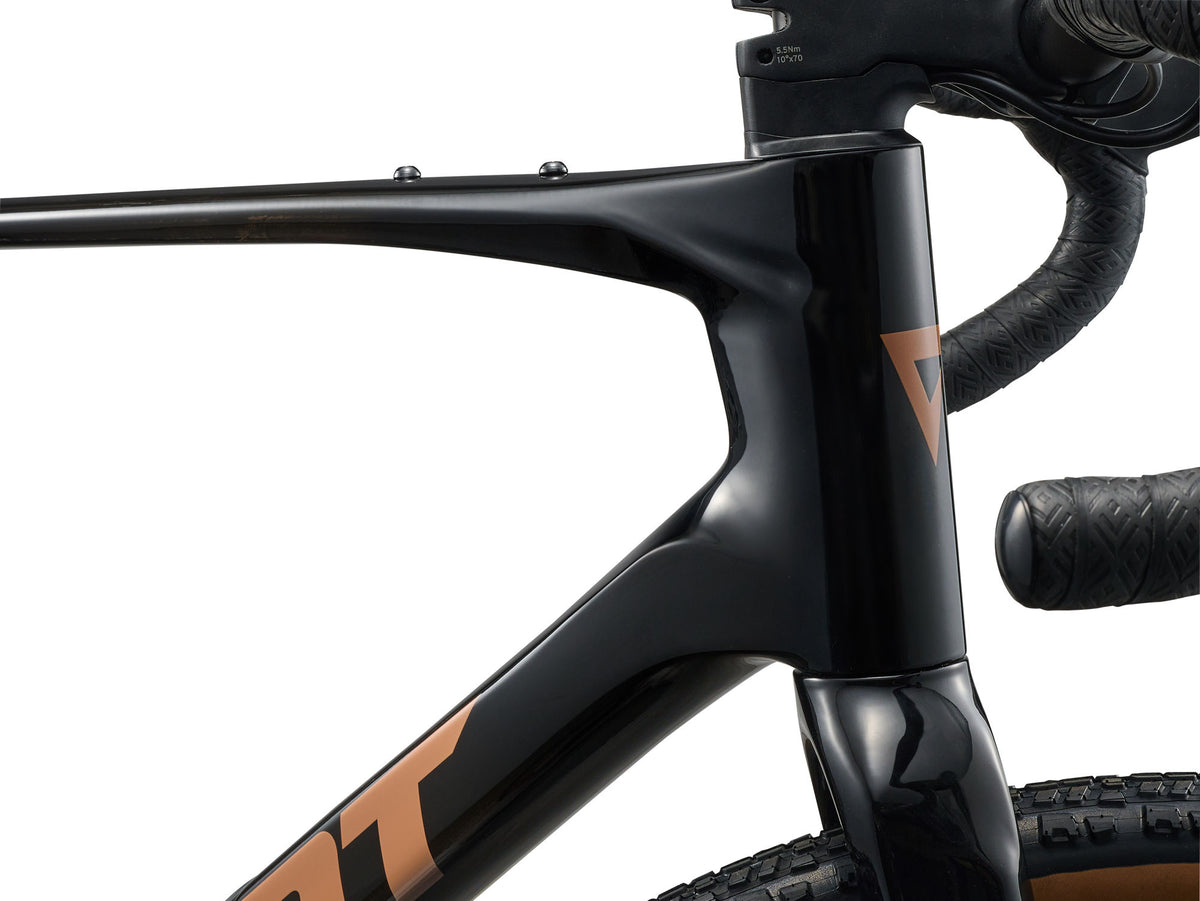 Gravelbike GIANT Revolt Advanced 2 (2026) Carbon