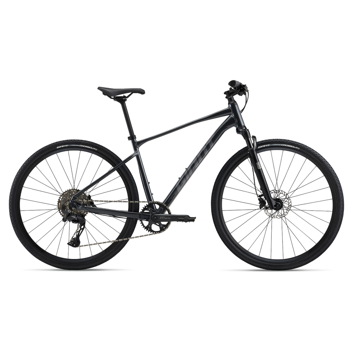 GIANT Roam 1 Bicycle, Charcoal