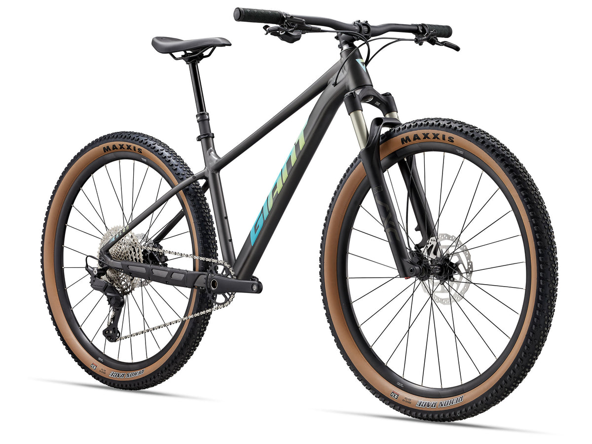 GIANT Talon 29 0 (2027) Stealth Chrome Cykel