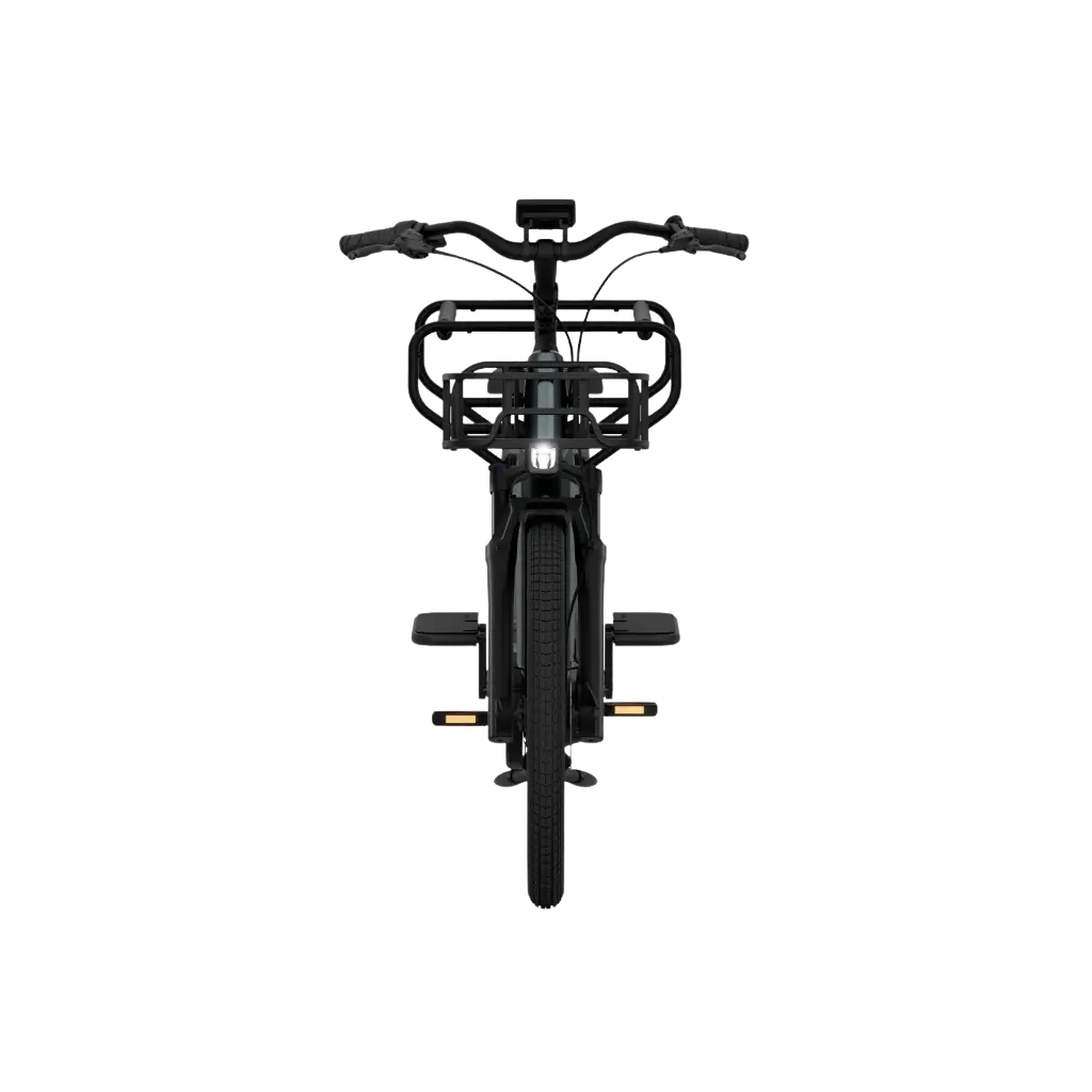 El-lastcykel TENWAYS Longtail DUO