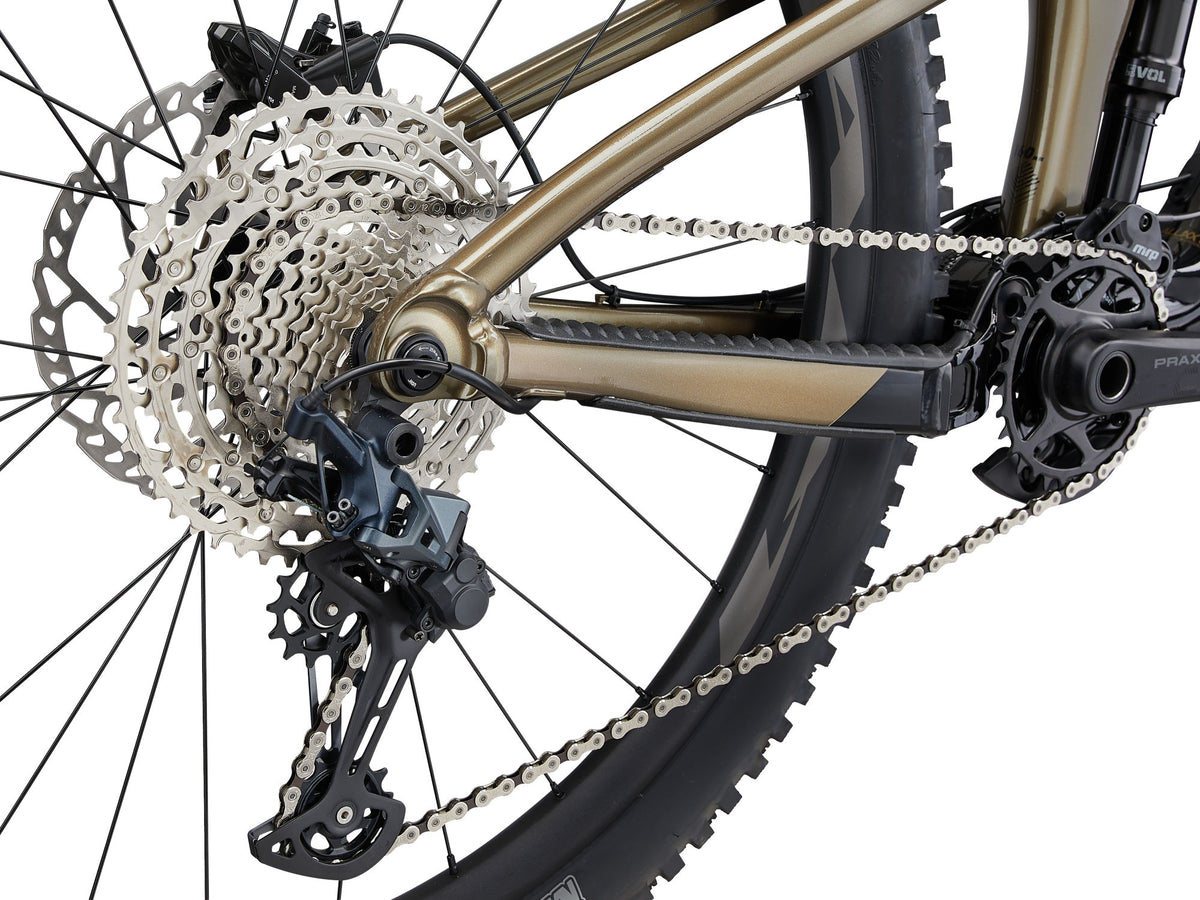 Mountain bike GIANT Reign 2, 29" Black/Pyrite Brown