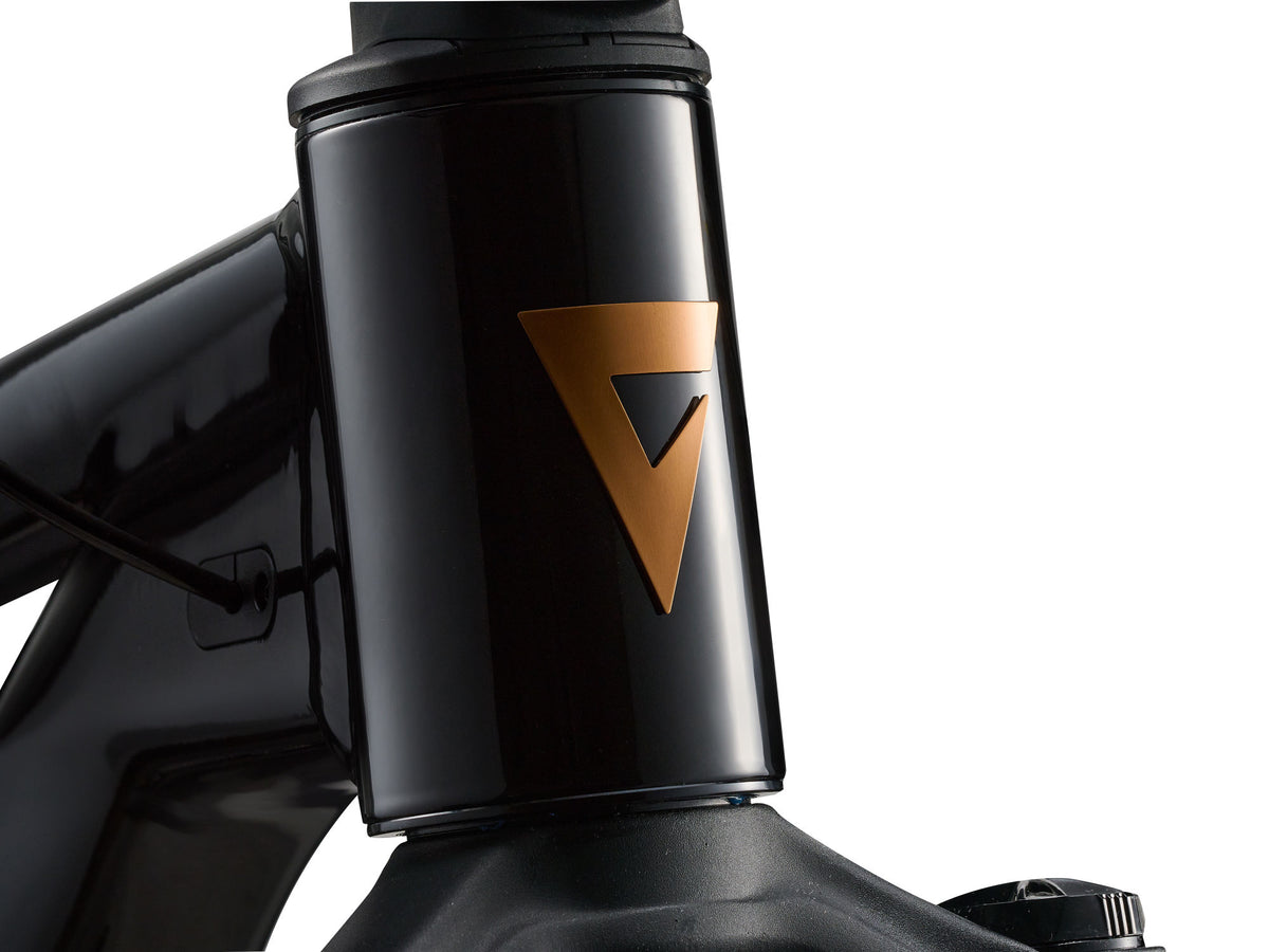 Mountainbike GIANT Stance, 29" Svart