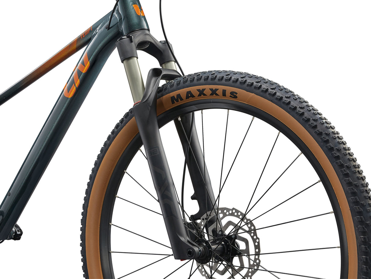 Women's bike LIV Tempt 0, 29" Asphalt Green