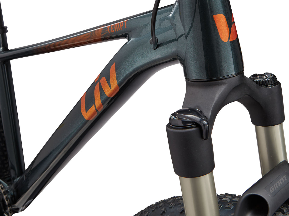 Women's bike LIV Tempt 0, 29" Asphalt Green