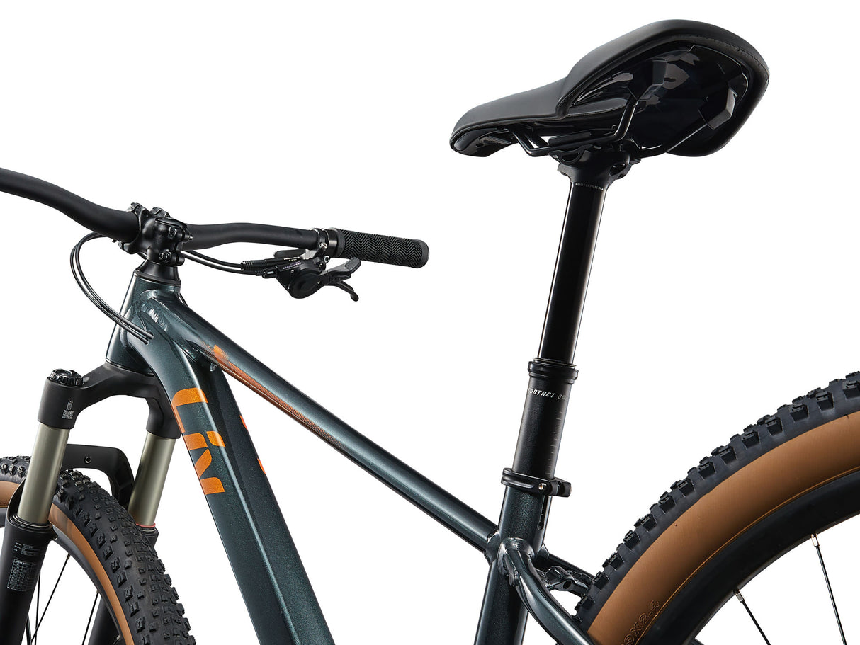 Women's bike LIV Tempt 0, 29" Asphalt Green