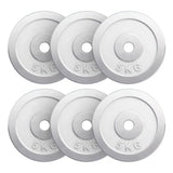 Viktskivor CHROME 6x5kg