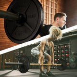 Viktskiver OLYMPIA 51mm 2x15kg