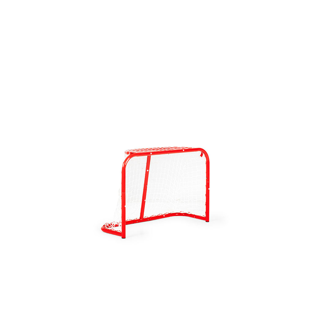 Court Mini Goal