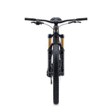 Elcykel LIV Intrigue X Advanced E+ Elite 1, Raw Carbon