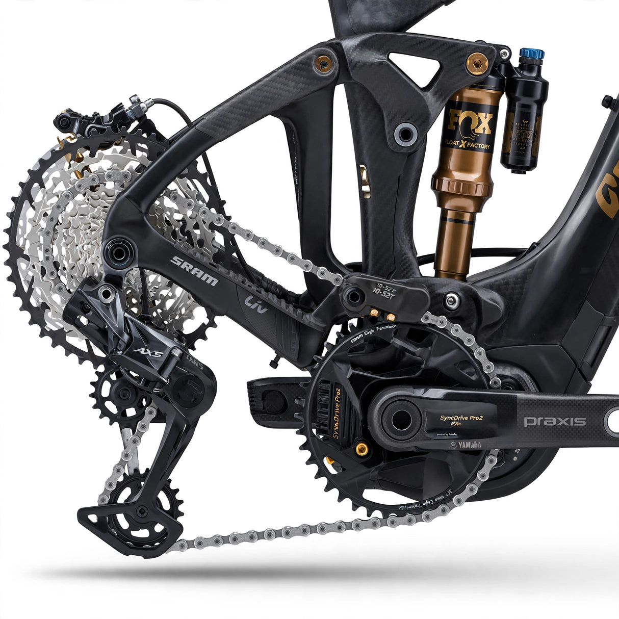 Elcykel LIV Intrigue X Advanced E+ Elite 1, Raw Carbon