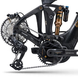 Elcykel LIV Intrigue X Advanced E+ Elite 1, Raw Carbon