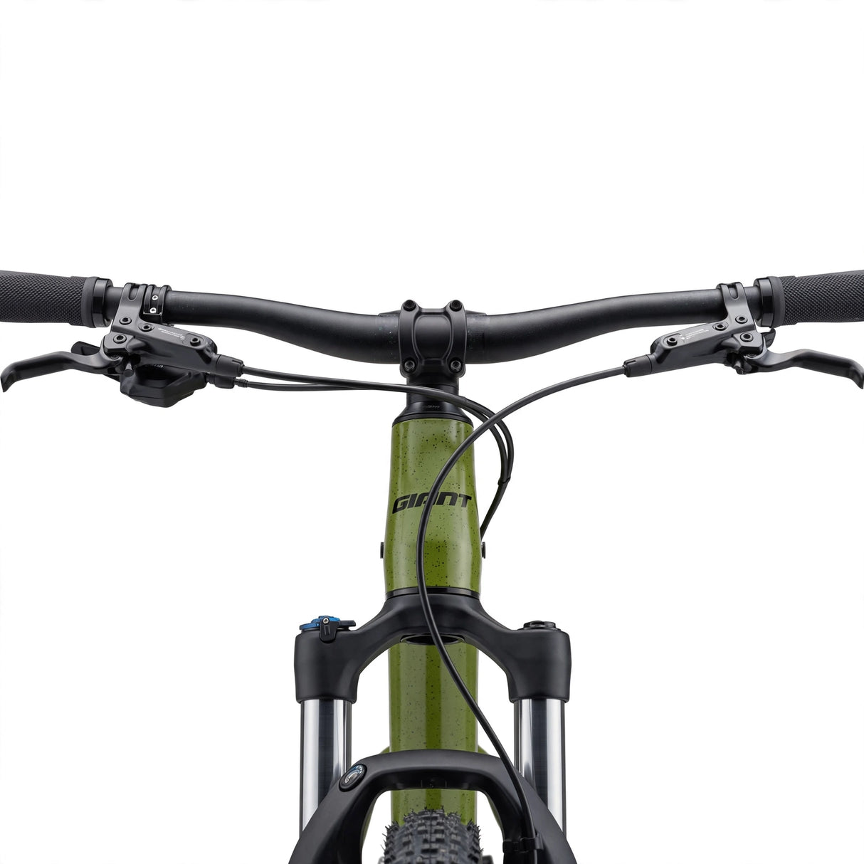 Bicycle GIANT Talon 2, 29" Dried Matcha