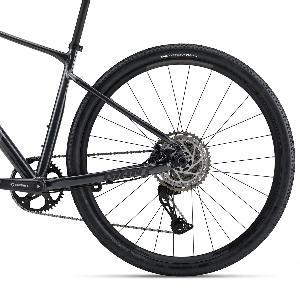 GIANT Roam 1 Bicycle, Charcoal