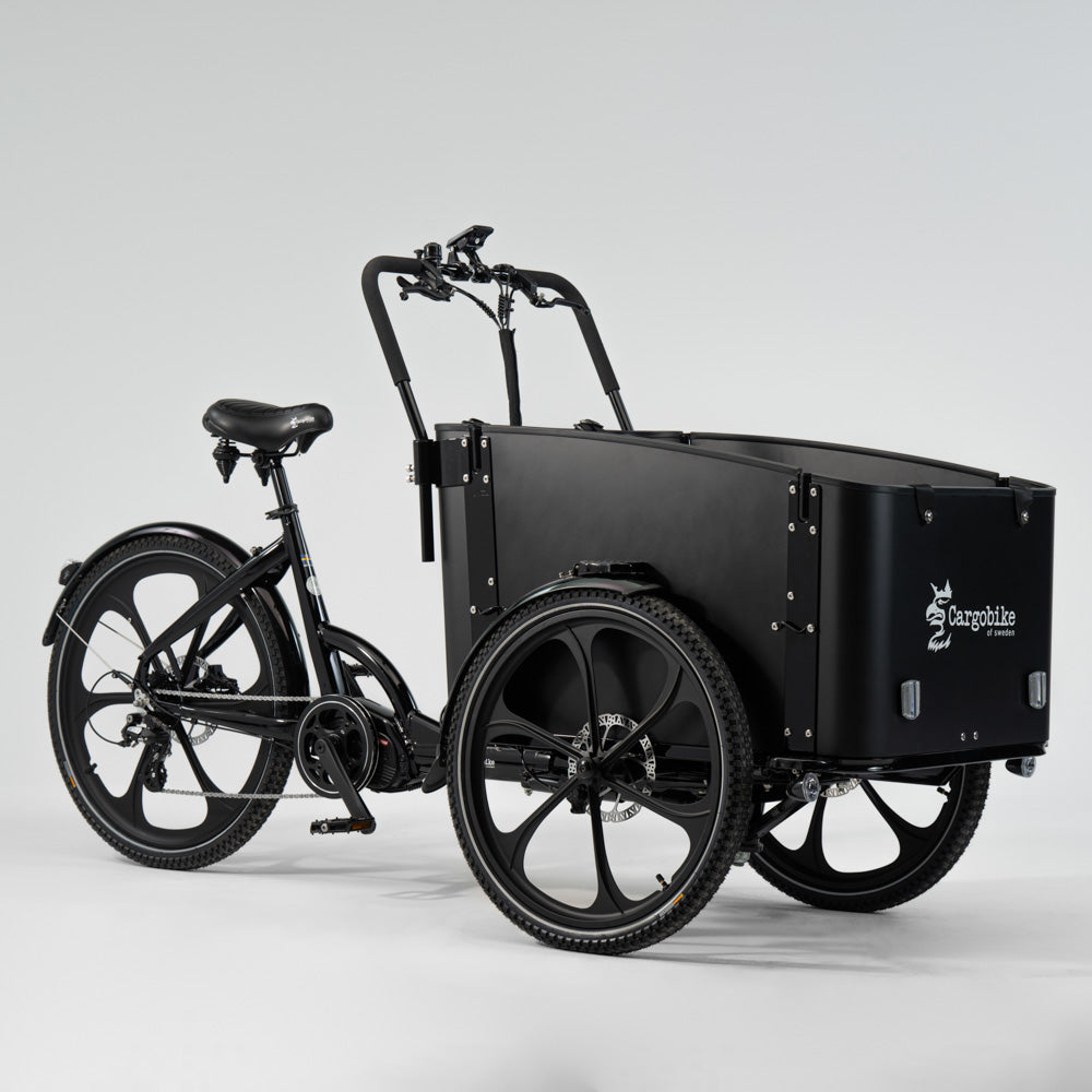 Electric cargo bike CARGOBIKE Delight