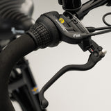 Elektrisk ladcykel CARGOBIKE of SWEDEN Flex
