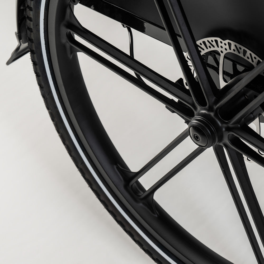 El-lastcykel CARGOBIKE of SWEDEN Flex
