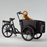 El-ladcykel CARGOBIKE of SWEDEN Flex Dog