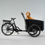 El-ladcykel CARGOBIKE of SWEDEN Flex Dog
