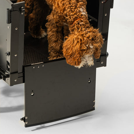 Best of Sports produktbild