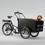 El-ladcykel CARGOBIKE of SWEDEN Classic Dog