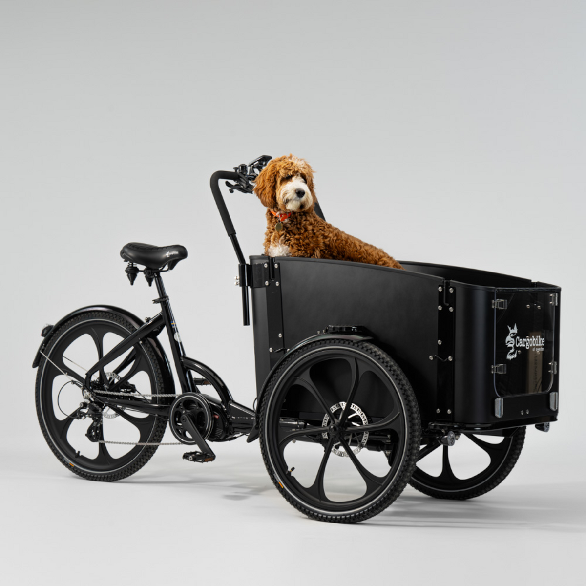 El-ladcykel CARGOBIKE of SWEDEN Delight Dog