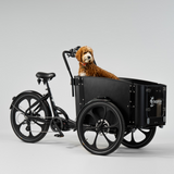 El-lastcykel CARGOBIKE of SWEDEN Delight Dog