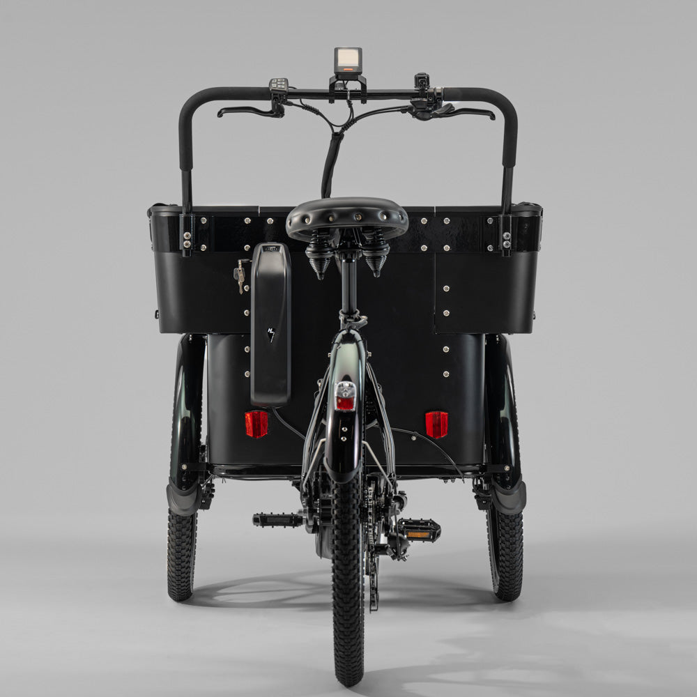 El-lastcykel CARGOBIKE of SWEDEN Delight Kindergarten