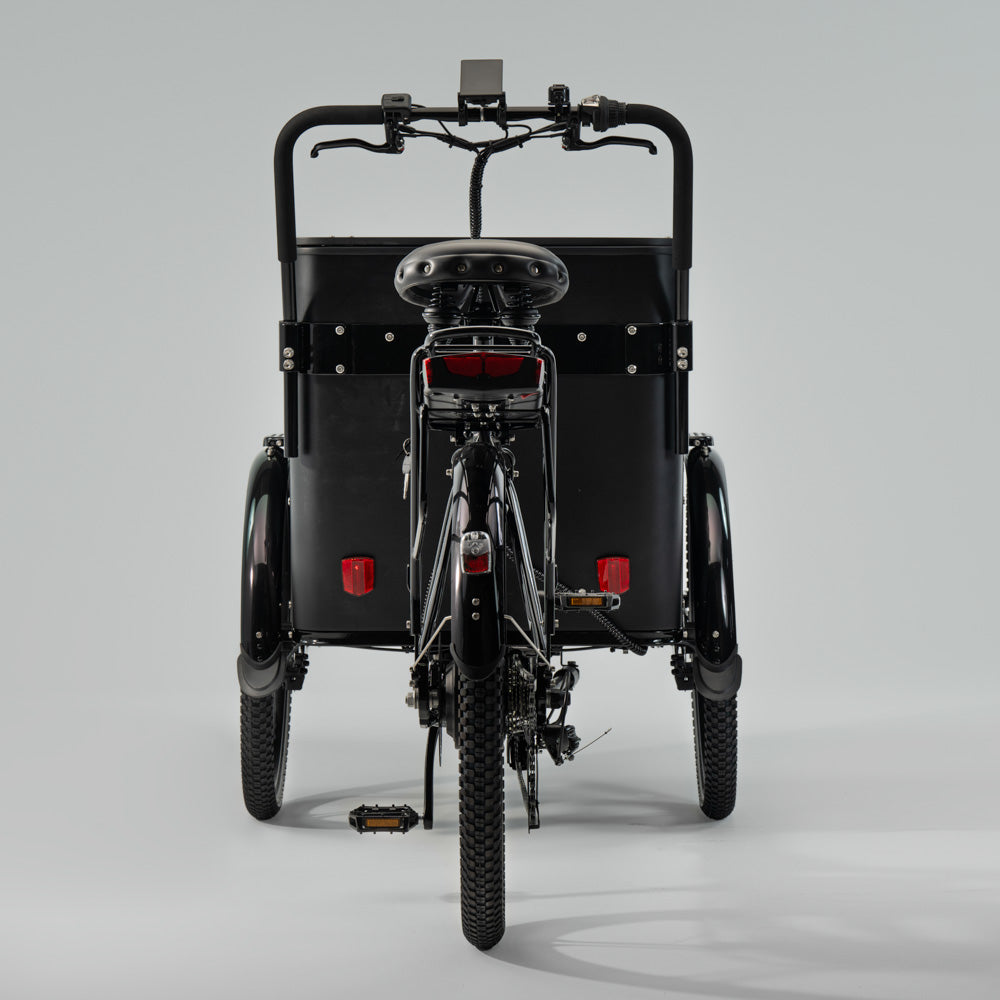 El-lastcykel CARGOBIKE of SWEDEN Flex Box