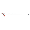 Ski poles Rex OMEGA