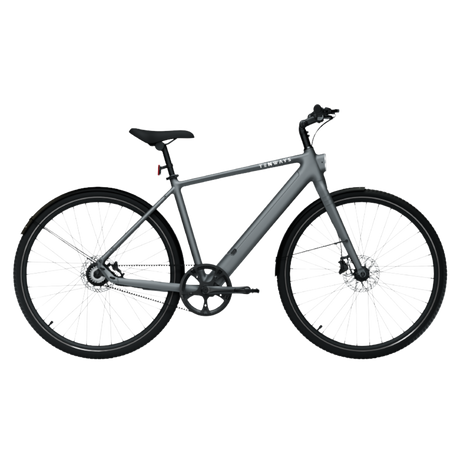 Elcykel TENWAYS CGO600 Pro, Pebble Grey