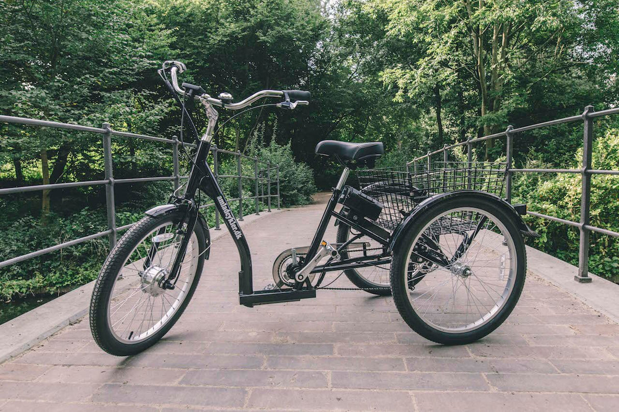 Three-wheel electric bicycle AMLADCYKLER Tricycle