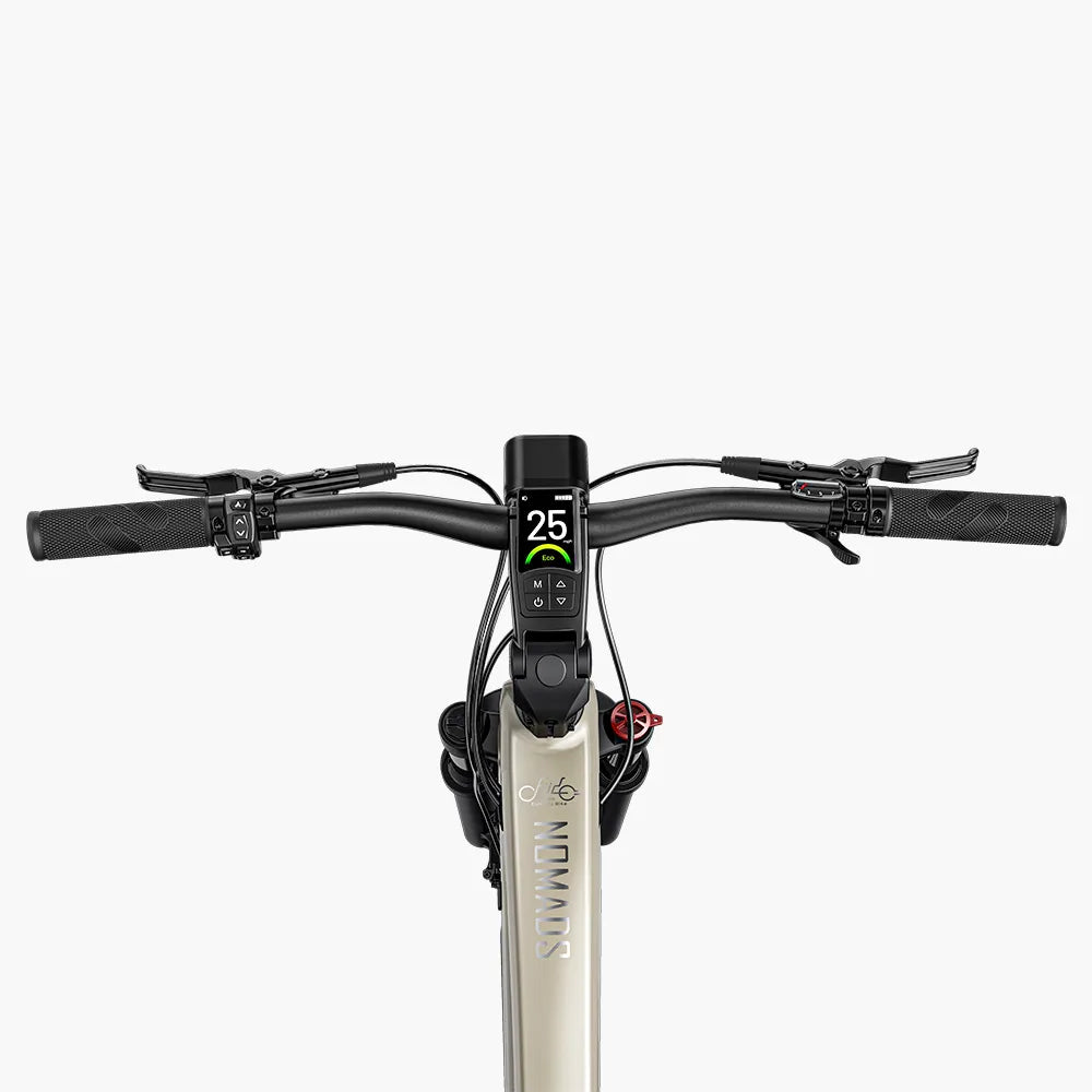 Electric bike FIIDO Nomads