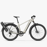 Electric bike FIIDO Nomads