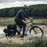 Electric bike FIIDO Nomads