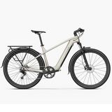 Electric bike FIIDO Nomads