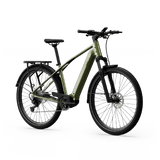 Elcykel TENWAYS AGO X Special Edition, 29" Grön