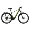 Elcykel TENWAYS AGO X Special Edition, 29" Grön