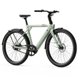 Elcykel TENWAYS CGO009, Sage Green