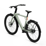 Elcykel TENWAYS CGO009, Sage Green