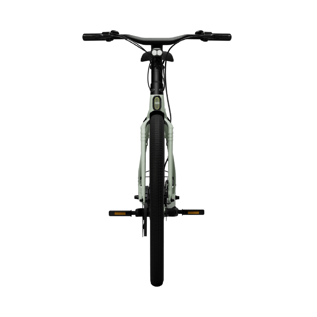 Elcykel TENWAYS CGO009, Sage Green