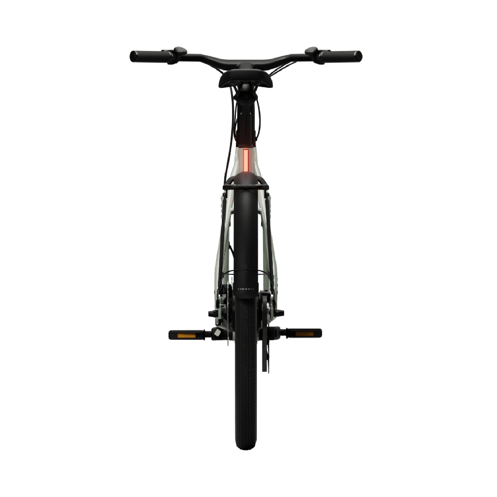 Elcykel TENWAYS CGO009, Sage Green