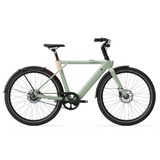 Elcykel TENWAYS CGO009, Sage Green