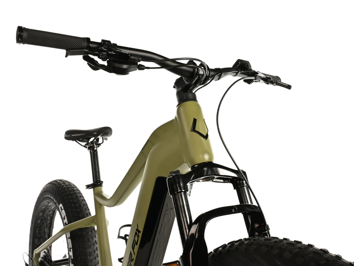 El-fatbike LEADER FOX Braga 26": Grøn